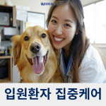 의정부24시아이유동물메디컬센터