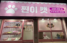 찐이캣