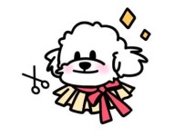 멍멍샵
