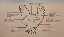 숯불닭갈비 계륵장군 유성점