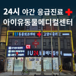 의정부24시아이유동물메디컬센터