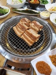 갈비둥지