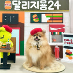 달리지용 24시 애견카페