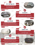 신안건정 하늘물고기