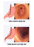 송호신내과의원