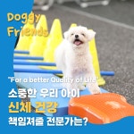 도기프렌즈 웰니스센터