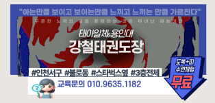 강철용인대태권도장