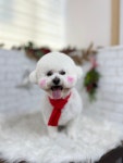 멍멍1길 23
