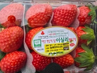 과일숲 해밀점