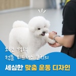 도기프렌즈 웰니스센터
