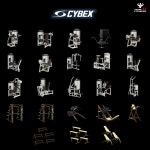 팀JJ피트니스 옥계점