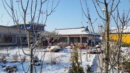 일송재
