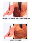 송호신내과의원