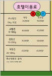 김포 애견호텔 애견유치원 꼬똥이네