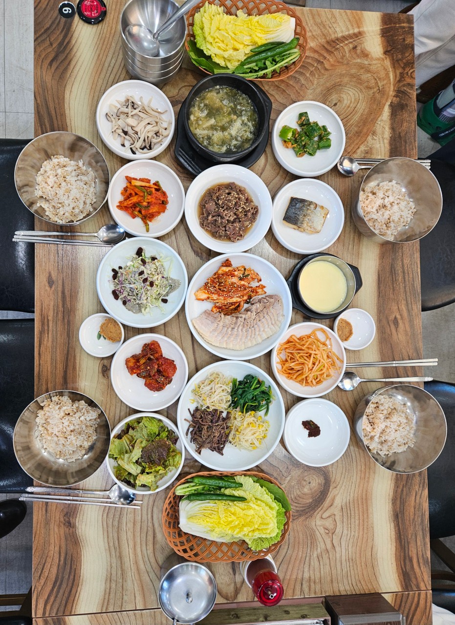벽오동