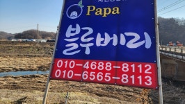 파파블루베리농장