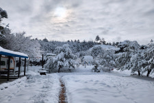 강릉씨클라우드카라반