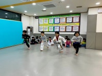 용인대금메달태권도