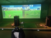 월드스크린골프