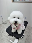 엘몽드