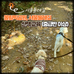 플랜더스 반려견 교육센터 애견훈련 애견유치원 애견호텔