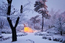 강릉씨클라우드카라반