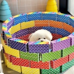 개라데이션 애견유치원