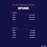 크로스핏 스펑크
