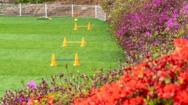 홍천 세도나 애견 펜션