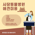 사당동물병원