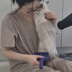 고양이미용&호텔 우아캣