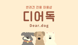 디어독