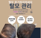 큐사랑 관저더샵점