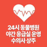 닥터펫동물의료센터