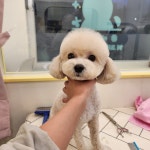 예쁘댕 오창