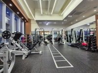 지오GYM