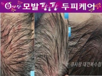 큐사랑포곡점