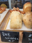 안녕 깜빠뉴