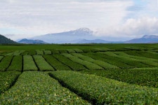 오혜숙산부인과의원