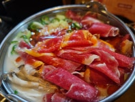 코야