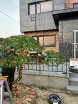 대박광고기획