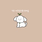 멍캐슬 프리미엄 반려견센터