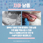 온누리동물의료센터