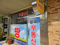 알짜공인중개사사무소