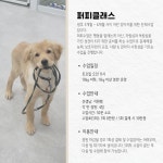 반려인학교