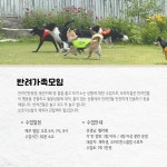 반려인학교