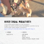 반려인학교