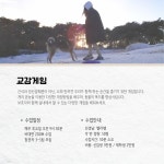 반려인학교