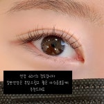 디브로우