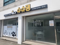 슈슈댕 홍천점